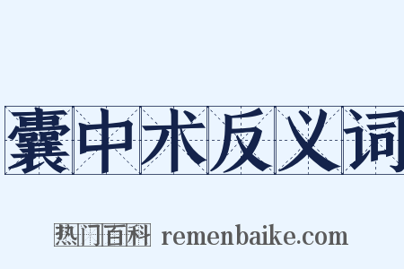 囊中术反义词是什么意思的图片